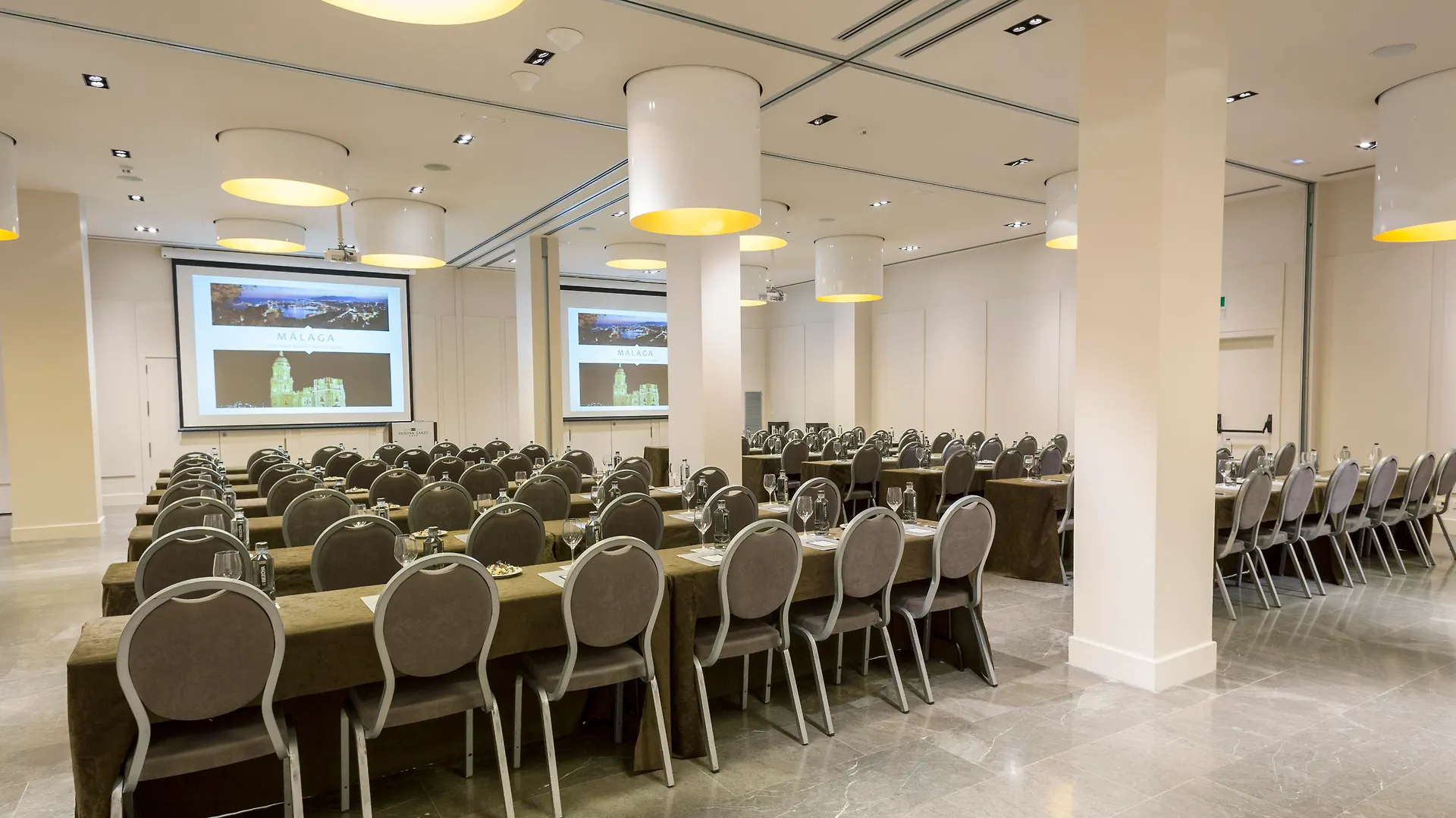 Molina Lario Hotel Malaga